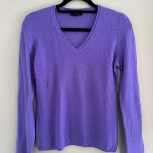 Charter Club Purple V-Neck Sweater with Long Sleeves